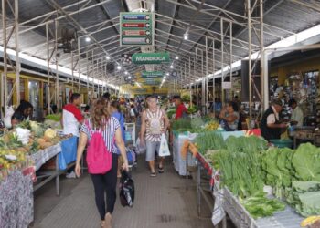 Câmara de Rio Branco aprova concessão dos mercados municipais à iniciativa privada