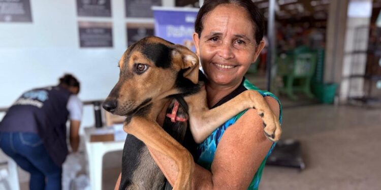 Prefeitura de Rio Branco intensifica vacinação antirrábica até 19 de dezembro em pontos estratégicos da cidade