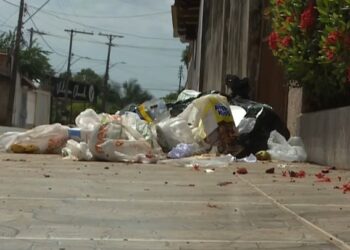 Falha na coleta deixa bairros de Rio Branco com lixo acumulado