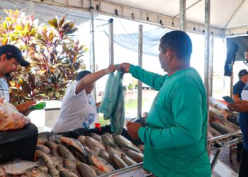 15ª Feira do Peixe e Agricultura Familiar 2026 acontece de 1º a 3 de abril em Rio Branco