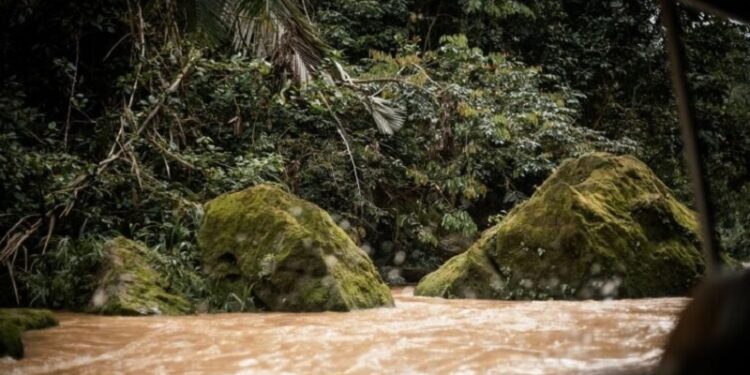 Dois parques do AC são indicados para turismo de observação de aves em catálogo de experiências de birdwatching no Brasil