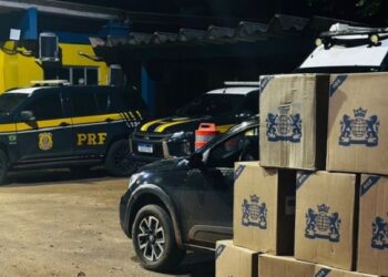 Mais de 4 mil maços de cigarros contrabandeados são apreendidos na BR-364 em Rio Branco