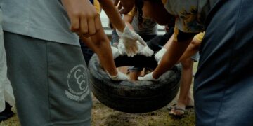 Educação como antídoto: escolas do Acre viram linha de frente contra o Aedes aegypti
