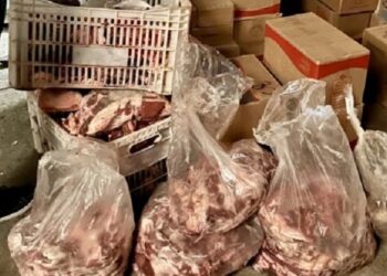 Mais de 200 kg de alimentos impróprios para consumo são apreendidos em Sena Madureira