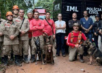 Ossada humana é encontrada em área de mata após 3 meses de busca por homem desaparecido em Rio Branco