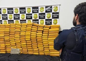 Carga de 230 kg de skunk é apreendida após fuga de suspeitos na BR-364, em Rio Branco