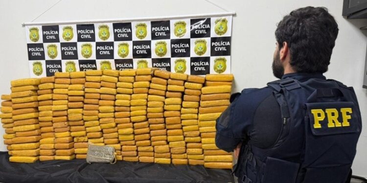 Carga de 230 kg de skunk é apreendida após fuga de suspeitos na BR-364, em Rio Branco