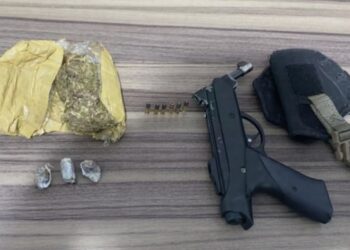 Operação Desarme: Polícia Civil do Acre realiza prisões e apreende armas no interior do estado