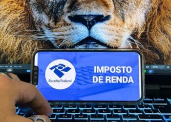 Receita abre consulta a lote da malha fina do Imposto de Renda