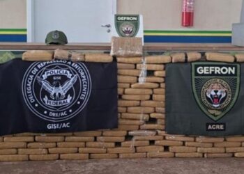 Operações da Gefron na fronteira do Acre geram prejuízo de R$ 14 milhões ao crime organizado
