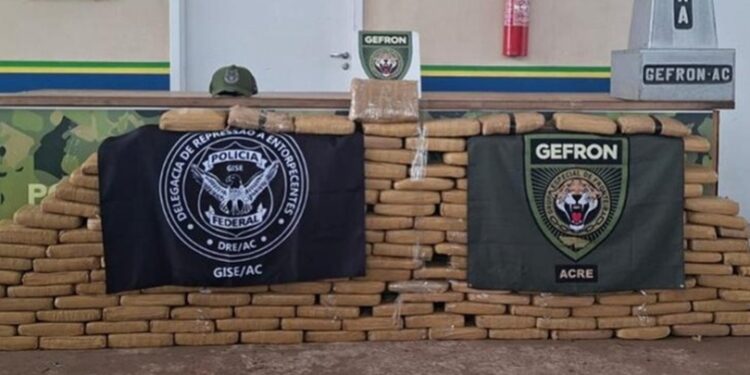 Operações da Gefron na fronteira do Acre geram prejuízo de R$ 14 milhões ao crime organizado