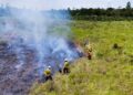 Com bolsas de até R$ 2 mil, Estado abre seleção para brigadistas de combate a queimadas