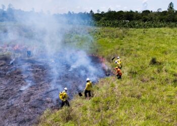 Com bolsas de até R$ 2 mil, Estado abre seleção para brigadistas de combate a queimadas