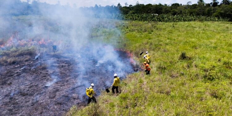 Com bolsas de até R$ 2 mil, Estado abre seleção para brigadistas de combate a queimadas