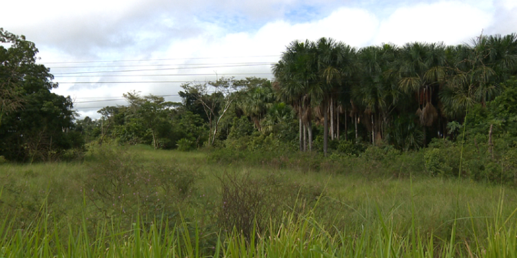 Tribunal de Contas suspende pagamento de terreno comprado pela Secretaria de Agricultura do Estado