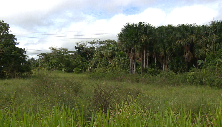 Tribunal de Contas suspende pagamento de terreno comprado pela Secretaria de Agricultura do Estado