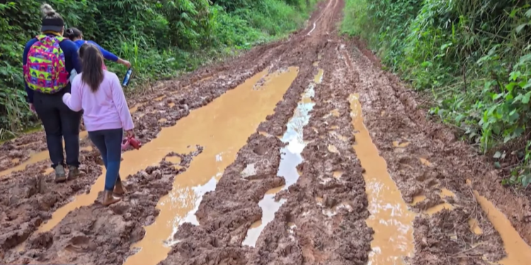 Promessas não cumpridas e ramais destruídos: produtores cobram soluções na Transacreana