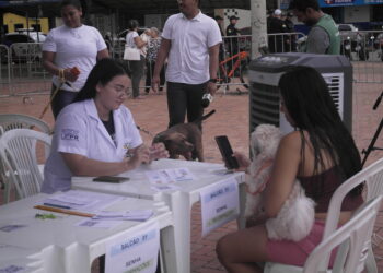“É um serviço muito importante”, diz tutora durante ação do ‘Governo do Brasil na Rua’ em Rio Branco
