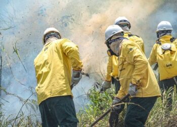 Estado convoca brigadistas comunitários para atuação em unidades de conservação no Acre