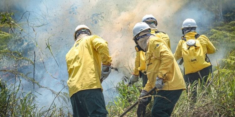 Estado convoca brigadistas comunitários para atuação em unidades de conservação no Acre