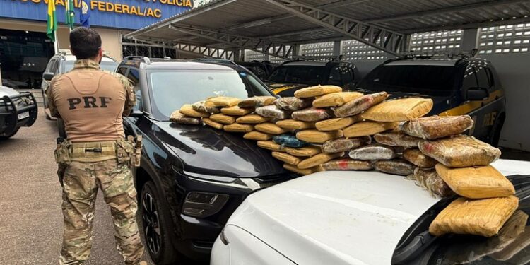 PRF apreende 43 kg de skunk ocultos em fundo falso de caminhonete