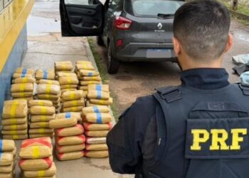 Dois homens são presos por transporte de 174 kg de drogas e embriaguez ao volante em Rio Branco