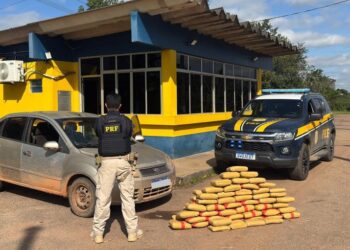 PRF apreende 90 kg de skunk na BR-317 em Senador Guiomard