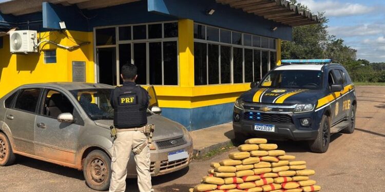 PRF apreende 90 kg de skunk na BR-317 em Senador Guiomard