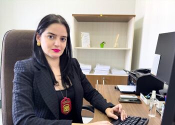 Delegada destaca papel das escolas e da imprensa no combate à violência sexual contra crianças