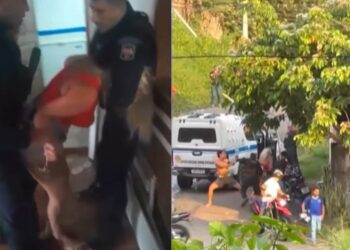 Mãe, filha e adolescente são presos após agressões contra policiais durante abordagem em Cruzeiro do Sul