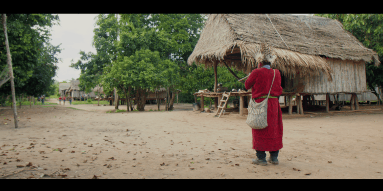 Curta-metragem acreano “Txirĩ – Gavião Real” é selecionado para festival internacional de cinema ambiental