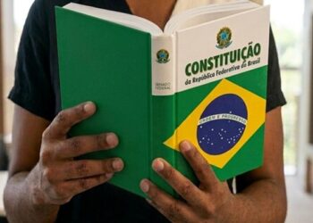 Constitucionalidade das subcotas raciais e os movimentos de contestação no brasil