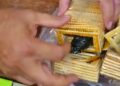 Mulher de 60 anos é presa com drogas escondidas em pacotes de bolacha durante visita em presídio de Rio Branco